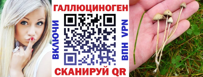 Галлюциногенные грибы мухоморы  что такое   Судогда 